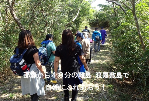 ハイキングは慶良間諸島の渡嘉敷島，ｂｅｇｉｎにおまかせ！