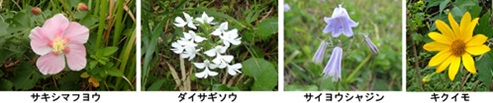 季節 秋