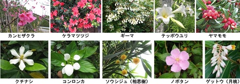 季節 春