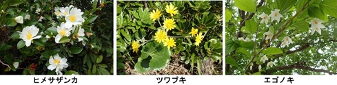 季節 冬