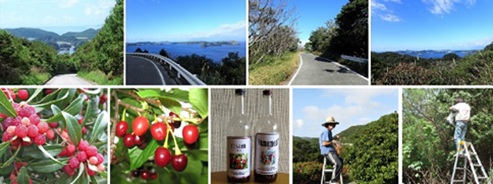 ハイキング・Ａコース