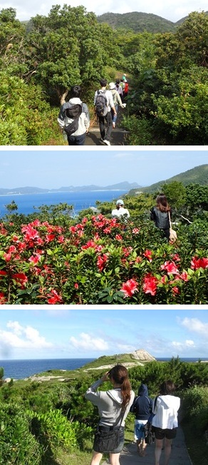 ウォーキングとハイキング，トレッキングの違い